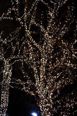 NEW YORK, New York - 25 Aralık 2022 'de New York' ta Noel Dekorasyonu.