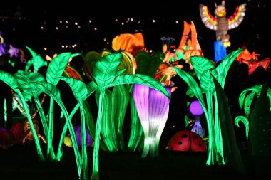 RANDALLS ADASI PARK, NY - 2 Ocak 2021 'de New York' taki Randalls Island Park 'ta görülen LuminoCity Festivali. Dinamik bir bayram ışık festivali ve büyüleyici bir sanat deneyimi..