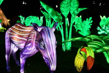 RANDALLS ADASI PARK, NY - 2 Ocak 2021 'de New York' taki Randalls Island Park 'ta görülen LuminoCity Festivali. Dinamik bir bayram ışık festivali ve büyüleyici bir sanat deneyimi..