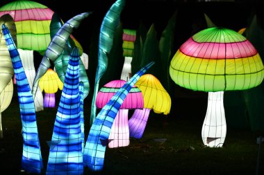 RANDALLS ADASI PARK, NY - 2 Ocak 2021 'de New York' taki Randalls Island Park 'ta görülen LuminoCity Festivali. Dinamik bir bayram ışık festivali ve büyüleyici bir sanat deneyimi..