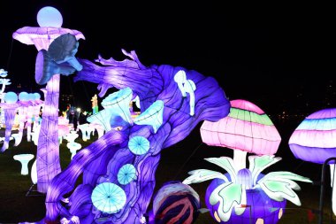 RANDALLS ADASI PARK, NY - 2 Ocak 2021 'de New York' taki Randalls Island Park 'ta görülen LuminoCity Festivali. Dinamik bir bayram ışık festivali ve büyüleyici bir sanat deneyimi..