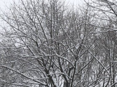 Connecticut 'ta Kış Günü