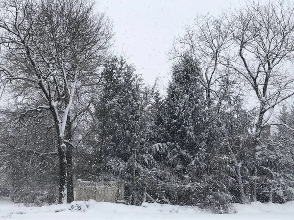 Día Nieve Invierno Connecticut — Foto de Stock