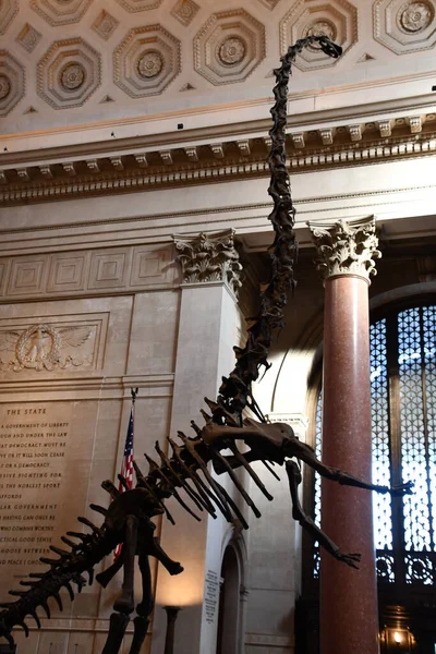 New York Mar American Museum Natural History Manhattan New York — Stockfoto