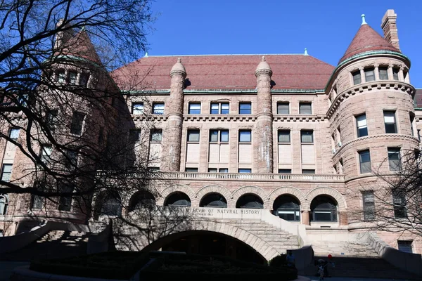 New York Mar American Museum Natural History Manhattan New York — Stockfoto