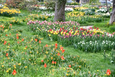 BRIDGEPORT, CT - 25 Nisan 2021 'de görüldüğü üzere Bridgeport, Connecticut' taki Renklendirme Evi ve Bahar Bahçesi.