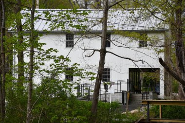 MILLBROOK, NY - 2 Mayıs 2021 'de Millbrook, New York' taki Millbrook Okulu 'nda görülen Trevor Zoo.