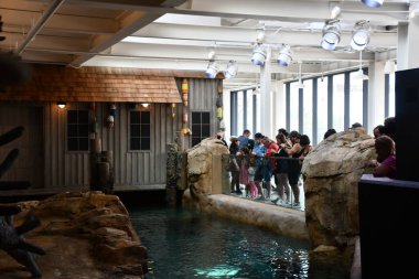 NORWALK, CT - 11 Temmuz 2021 'de Norwalk, Connecticut' ta görülen deniz akvaryumu. Denizcilik Merkezi 16 Temmuz 1988 'de açıldı..