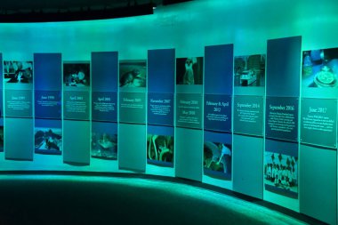 NORWALK, CT - 11 Temmuz 2021 'de Norwalk, Connecticut' ta görülen deniz akvaryumu. Denizcilik Merkezi 16 Temmuz 1988 'de açıldı..