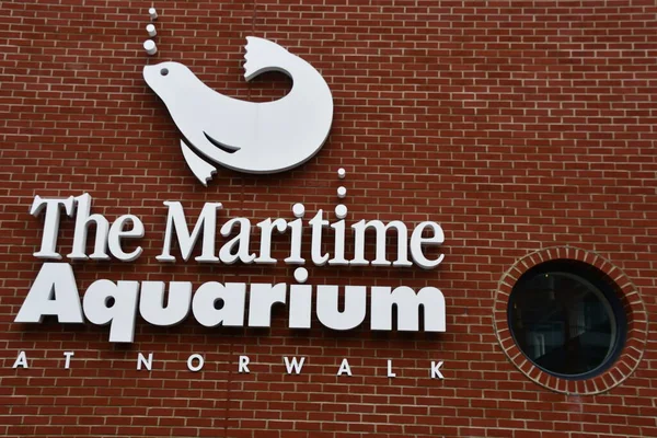 Norwalk Jul Aquarium Maritime Norwalk Connecticut Juillet 2021 Centre Maritime — Photo