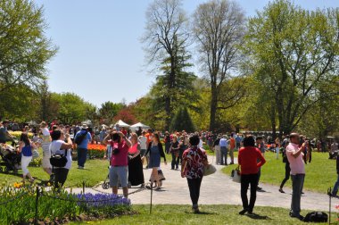 albany, new york eyaleti yılında washington Park 2014 Lale Festivali