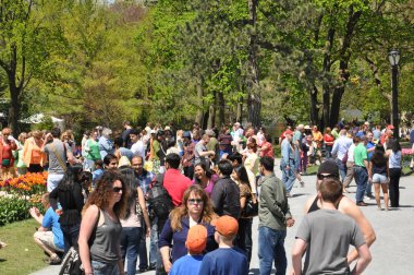 albany, new york eyaleti yılında washington Park 2014 Lale Festivali