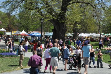 albany, new york eyaleti yılında washington Park 2014 Lale Festivali