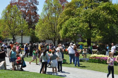 albany, new york eyaleti yılında washington Park 2014 Lale Festivali