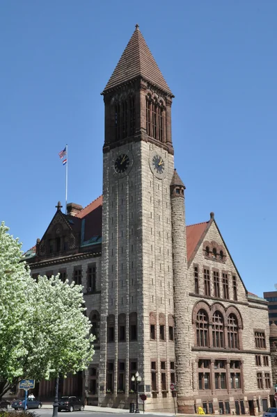 Hôtel de ville d'Albany dans l'État de New York — Photo