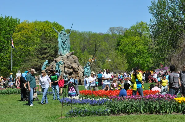 2014-es tulip fesztivál washington Park albany, new york államban — Stock Fotó