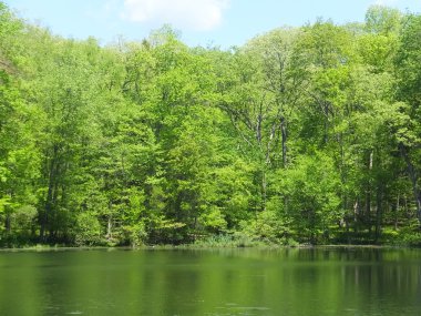 İki Yataklı göl, Bushkill Şelalesi'nde Pennsylvania
