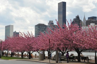 Roosevelt Adası mesire Manhattan, New York'taki East Nehri