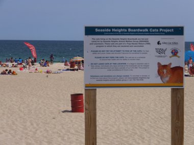 Seaside Heights New Jersey'deki Jersey sahilinde