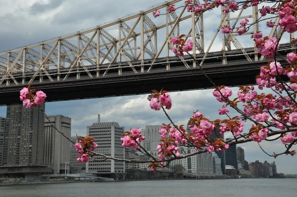 Roosevelt-Inselpromenade über den East River nach Manhattan, New York — Stockfoto