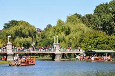 Kuğu tekne Boston kamu bahçelerde