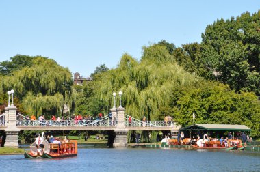Kuğu tekne Boston kamu bahçelerde