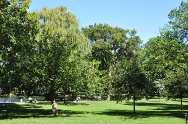 Kamu bahçeleri Boston