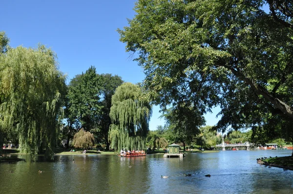 Labutí lodě na veřejné zahrady v Bostonu — Stock fotografie