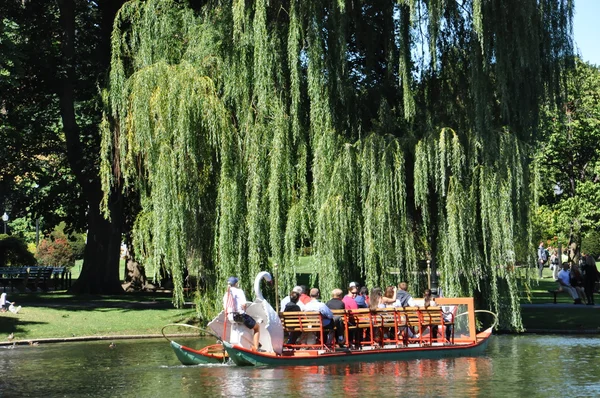 Swan båtar på offentliga trädgårdar i Boston — Stockfoto