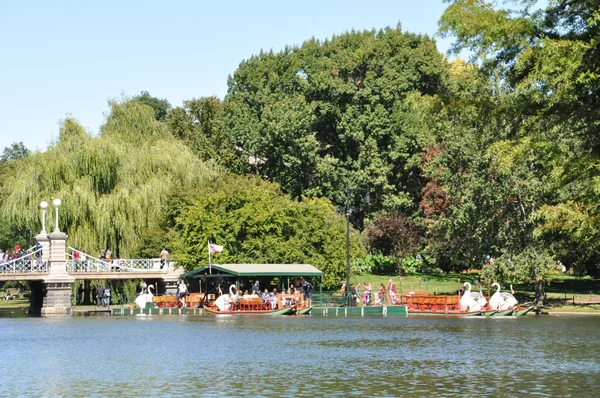 Bateaux de cygne au Public Gardens à Boston — Photo