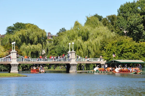Barcos cisnes en los jardines públicos de Boston — Foto de Stock