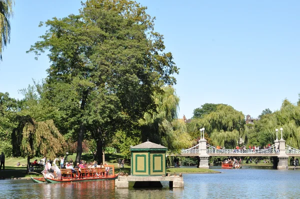 Barcos cisnes en los jardines públicos de Boston — Foto de Stock