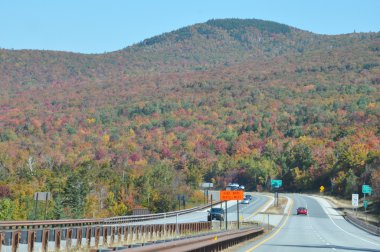 new hampshire beyaz dağ Ulusal ormanında, sonbahar yaprakları