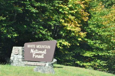 White Mountain National Forest New Hampshire'da, sonbahar yaprakları