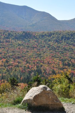 new hampshire beyaz dağ Ulusal ormanında, sonbahar yaprakları