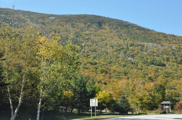 Colores de otoño en el Bosque Nacional White Mountain en New Hampshire — Foto de Stock