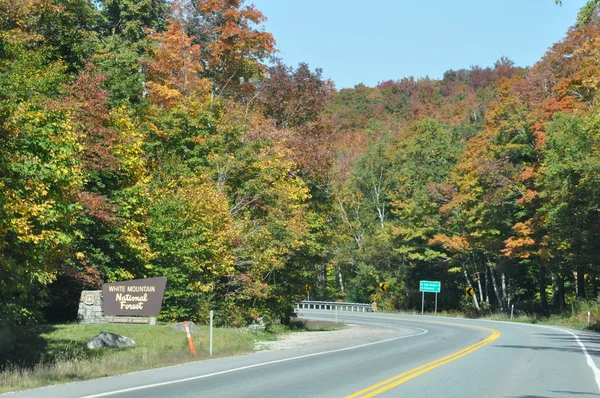 Feuillage d'automne à la forêt nationale de White Mountain dans le New Hampshire — Photo