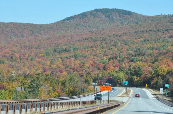 Fall gebladerte op de witte berg national forest in new hampshire — Stockfoto