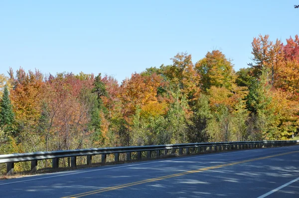 Follaje de otoño en el Bosque Nacional White Mountain en New Hampshire — Foto de Stock