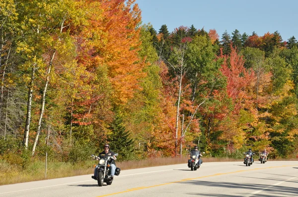 Feuillage d'automne à la forêt nationale de White Mountain dans le New Hampshire — Photo