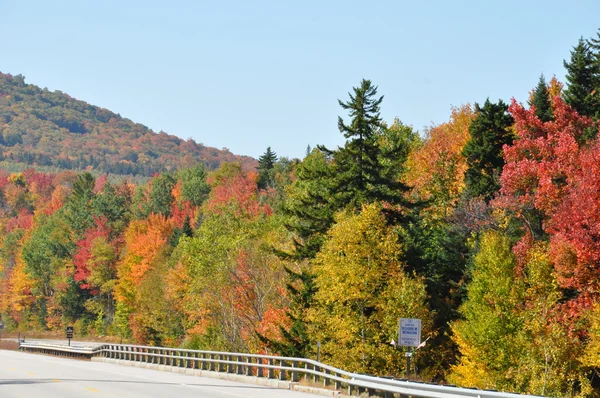 Folhagem de Outono na Floresta Nacional da Montanha Branca em New Hampshire — Fotografia de Stock