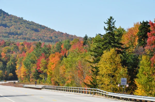 Follaje de otoño en el Bosque Nacional White Mountain en New Hampshire — Foto de Stock