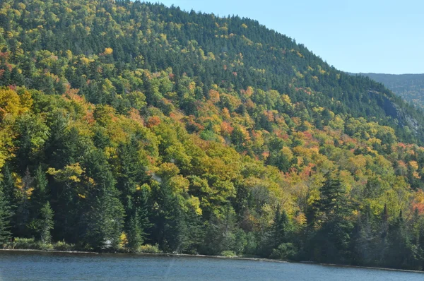 Spadek liści w White Mountain National Forest w New Hampshire — Zdjęcie stockowe