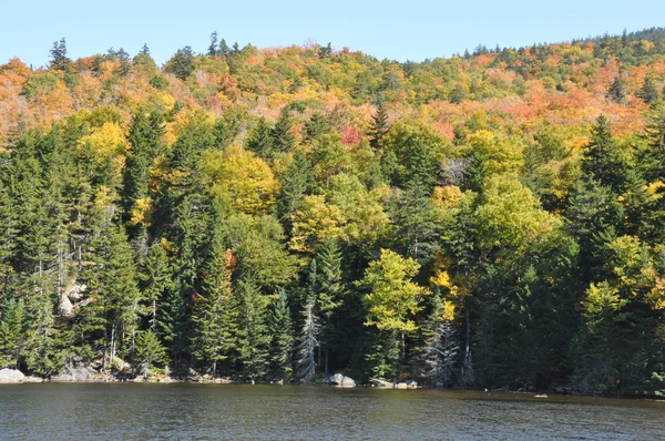 Fall Foliage at White Mountain National Forest in New Hampshire — Stock Photo, Image