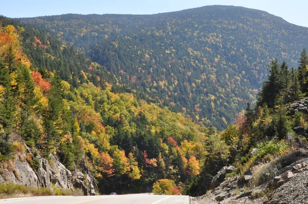 Осенняя листва в национальном лесу Уайт-Маунтин в Нью-Гемпшире — стоковое фото