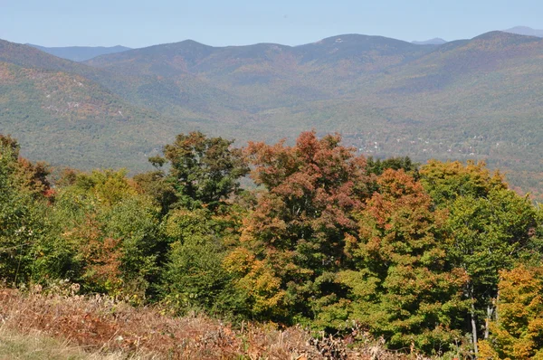 Herbstlaub am White Mountain National Forest in New Hampshire — Stockfoto