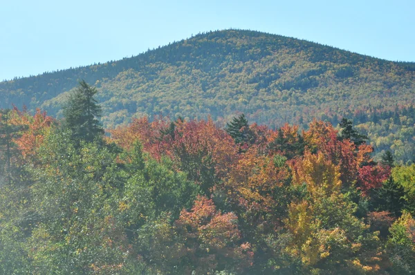 Folhagem de Outono na Floresta Nacional da Montanha Branca em New Hampshire — Fotografia de Stock