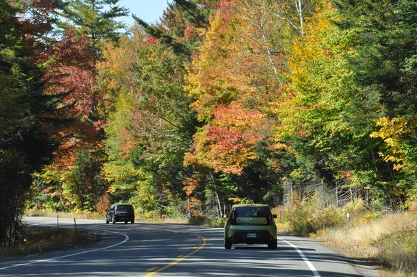 Feuillage d'automne à la forêt nationale de White Mountain dans le New Hampshire — Photo