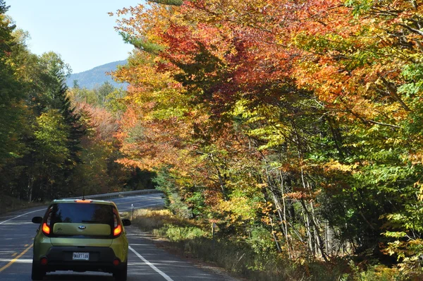 Follaje de otoño en el Bosque Nacional White Mountain en New Hampshire — Foto de Stock