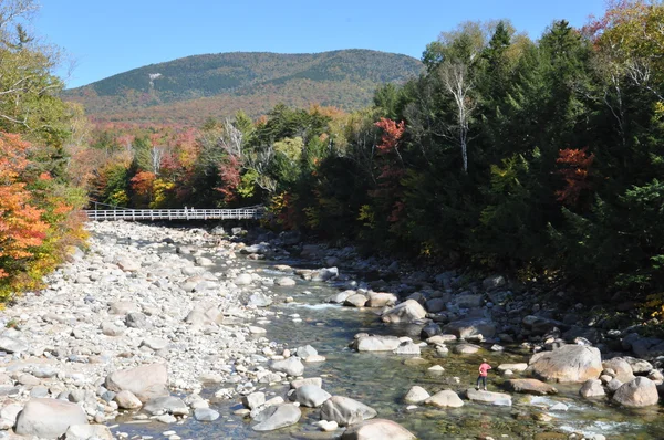 Na podzim listy na Bílé hoře národního lesa v New Hampshire — Stock fotografie